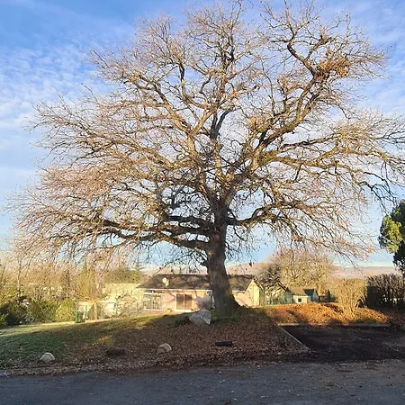 Restaurant Du 2* Graulhet