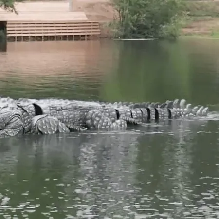 Restaurant Du 2* Graulhet