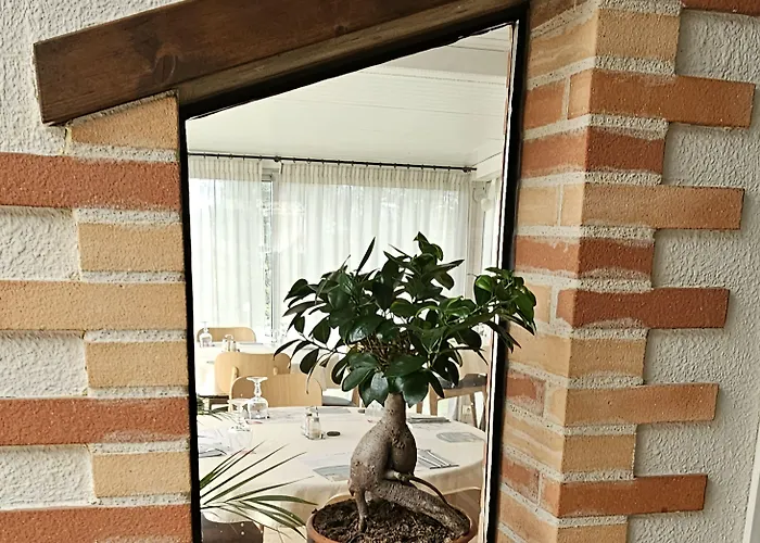 Hotel Restaurant Du Graulhet