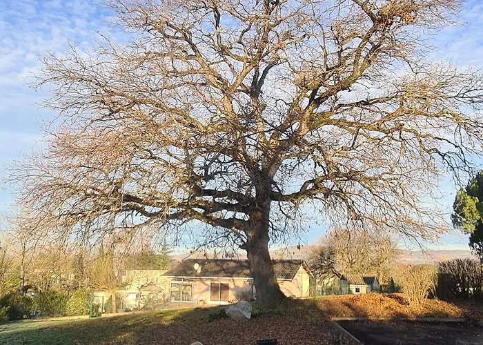 Restaurant Du 2* Graulhet
