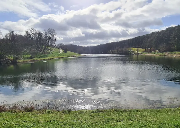 Restaurant Du Hotel Graulhet